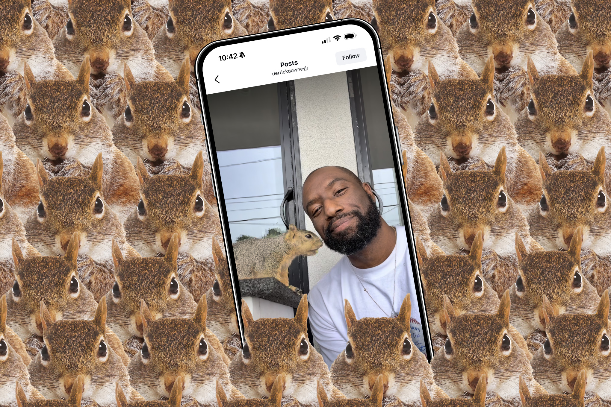 App de Câmera Surpreende no Topo: O Fenômeno "Squirrel Dad" e o Sucesso Inesperado